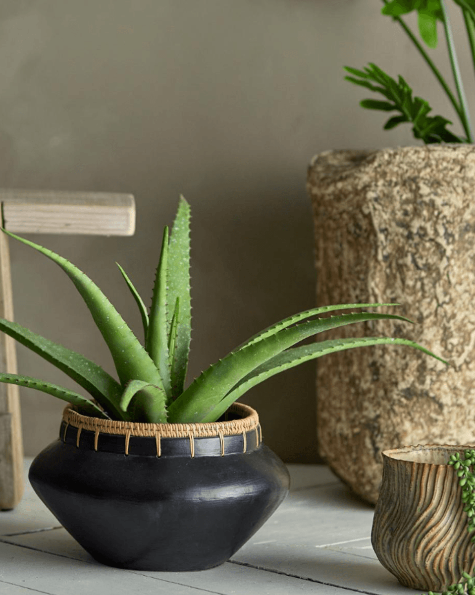Bloomingville Aloe Kunstig Plante Grønn
