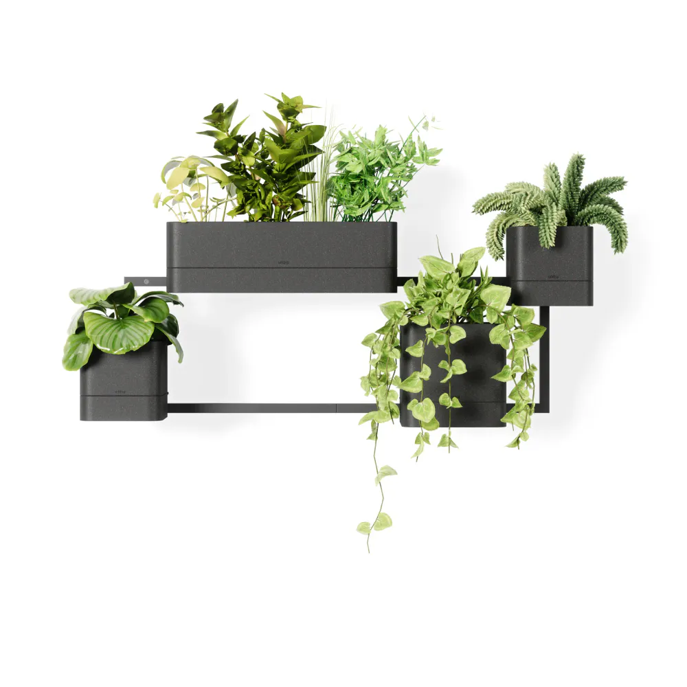 Umbra Cubiko vegghengte blomsterpotter sort