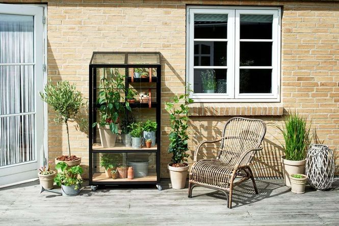Hovedbilde Juliana Urban Drivhus City Greenhouse Herdet ...