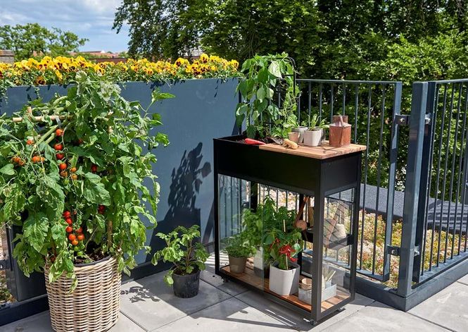 Hovedbilde Juliana Urban Vertical Drivhus Herdet Glass Sort ...