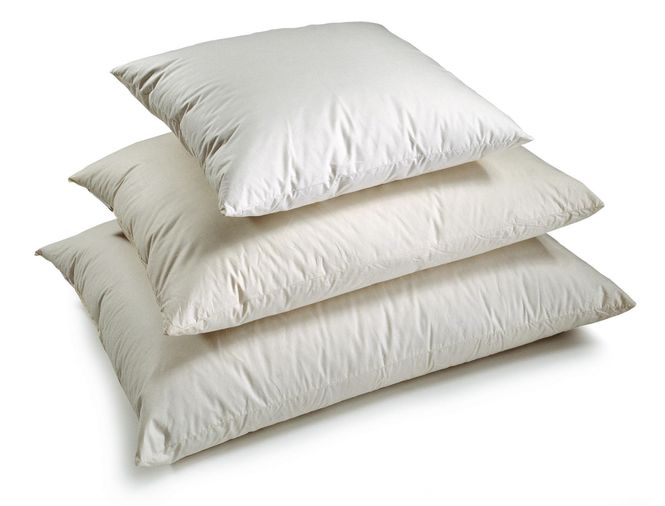 Hovedbilde Norsk Dun Innleggspute 40x60cm